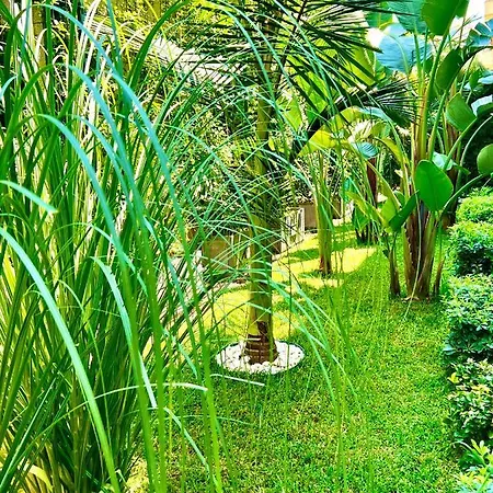 Apartament 25 - Cleopatra Exclusive, Center